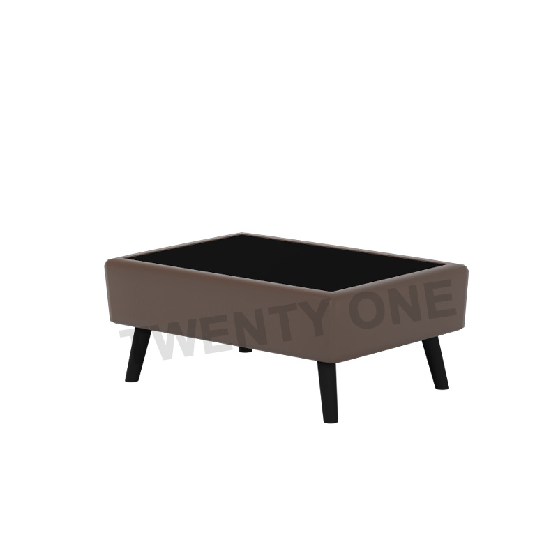 ELSIE FAUX LETHER COFFEE TABLE